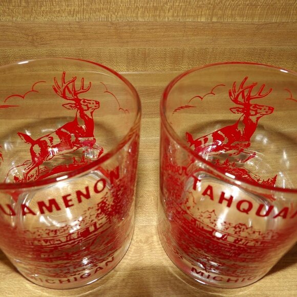 Set of Lower Tahquamenon Falls Michigan tumbler glasses, retro - Picture 7 of 8